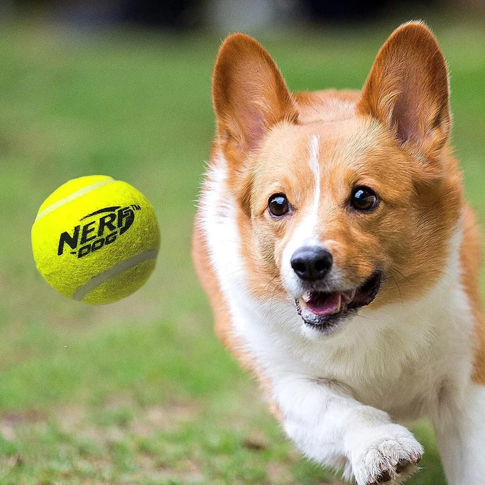 Nerf Dog Fetch Game Mega Set Tennis Ball Blaster With 12 Tennis Balls Orange AU