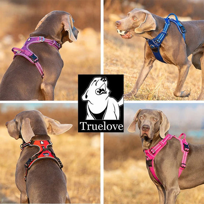 Truelove Adventurer Dog Doggie Adjustable No Pull Harness Orange M